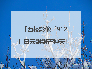 西楼影像「912」白云飘飘芒种天