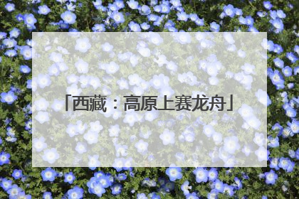 西藏：高原上赛龙舟