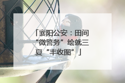 襄阳公安：田间“微警务”绘就三夏“丰收图”