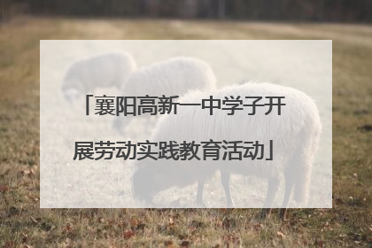 襄阳高新一中学子开展劳动实践教育活动