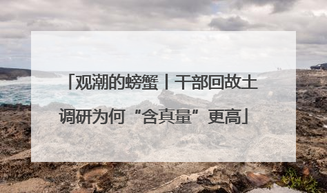 观潮的螃蟹丨干部回故土调研为何“含真量”更高