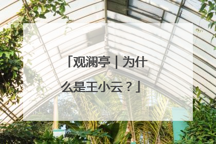 观澜亭｜为什么是王小云？