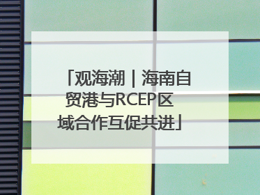观海潮｜海南自贸港与RCEP区域合作互促共进