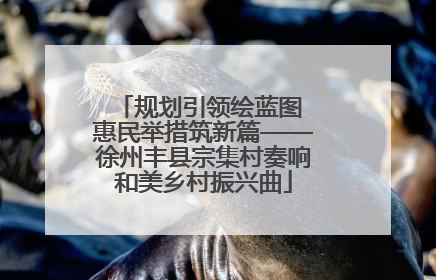 规划引领绘蓝图 惠民举措筑新篇——徐州丰县宗集村奏响和美乡村振兴曲
