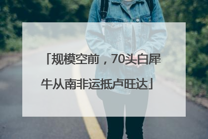 规模空前，70头白犀牛从南非运抵卢旺达
