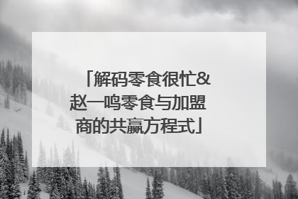 解码零食很忙&赵一鸣零食与加盟商的共赢方程式