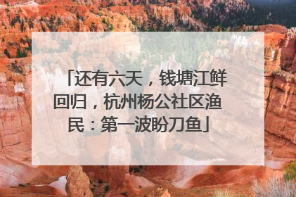 还有六天，钱塘江鲜回归，杭州杨公社区渔民：第一波盼刀鱼