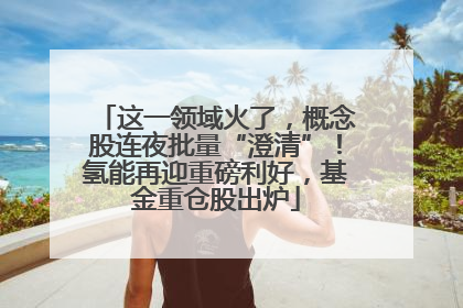 这一领域火了，概念股连夜批量“澄清”！氢能再迎重磅利好，基金重仓股出炉