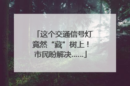这个交通信号灯竟然“藏”树上！市民盼解决……