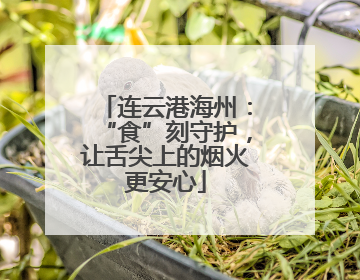 连云港海州：“食”刻守护，让舌尖上的烟火更安心
