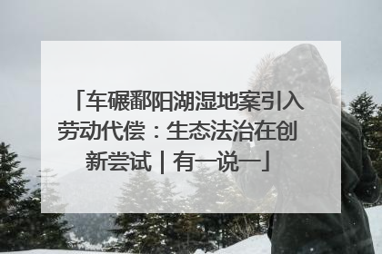 车碾鄱阳湖湿地案引入劳动代偿：生态法治在创新尝试｜有一说一