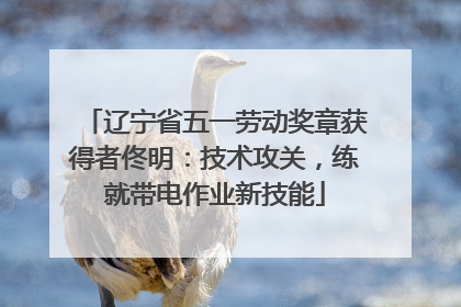 辽宁省五一劳动奖章获得者佟明：技术攻关，练就带电作业新技能