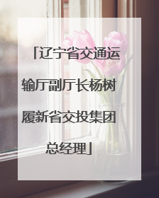 辽宁省交通运输厅副厅长杨树履新省交投集团总经理
