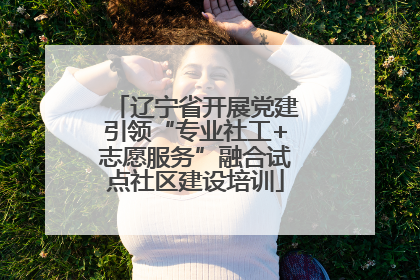 辽宁省开展党建引领“专业社工+志愿服务”融合试点社区建设培训