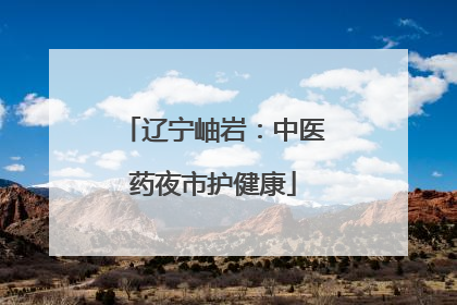 辽宁岫岩：中医药夜市护健康