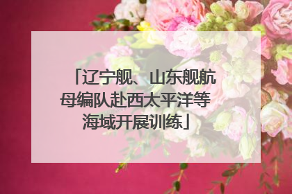 辽宁舰、山东舰航母编队赴西太平洋等海域开展训练