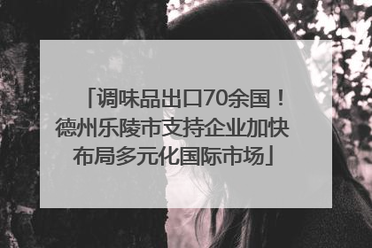 调味品出口70余国！德州乐陵市支持企业加快布局多元化国际市场