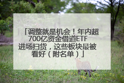 调整就是机会！年内超700亿资金借道ETF进场扫货，这些板块最被看好（附名单）