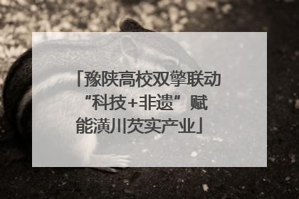 豫陕高校双擎联动 “科技+非遗”赋能潢川芡实产业