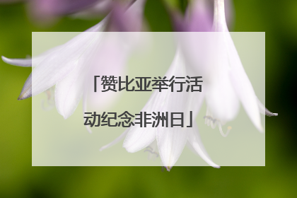 赞比亚举行活动纪念非洲日