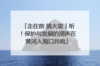 走在前 挑大梁丨听！保护与发展的潮声在黄河入海口共鸣