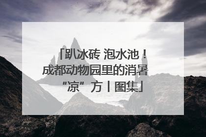 趴冰砖 泡水池！成都动物园里的消暑“凉”方丨图集