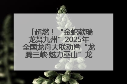 超燃！“金蛇献瑞 龙舞九州”2025年全国龙舟大联动暨“龙腾三峡·魅力巫山”龙舟邀请赛圆满落幕！