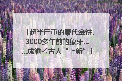超半斤重的秦代金饼、3000多年前的象牙……成渝考古人“上新”