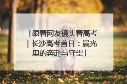 跟着网友镜头看高考｜长沙高考首日：晨光里的奔赴与守望