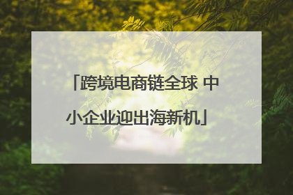 跨境电商链全球 中小企业迎出海新机