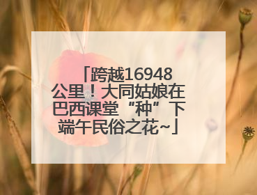 跨越16948公里！大同姑娘在巴西课堂“种”下端午民俗之花~