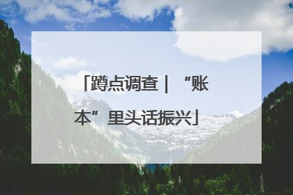 蹲点调查｜“账本”里头话振兴
