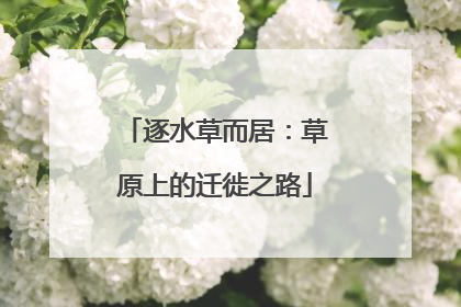 逐水草而居：草原上的迁徙之路