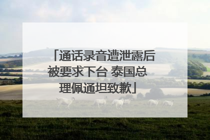 通话录音遭泄露后被要求下台 泰国总理佩通坦致歉