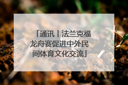 通讯丨法兰克福龙舟赛促进中外民间体育文化交流