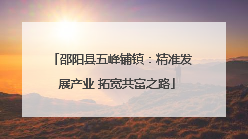 邵阳县五峰铺镇：精准发展产业 拓宽共富之路