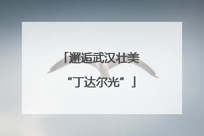 邂逅武汉壮美“丁达尔光”