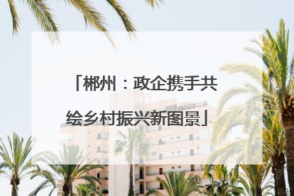郴州：政企携手共绘乡村振兴新图景