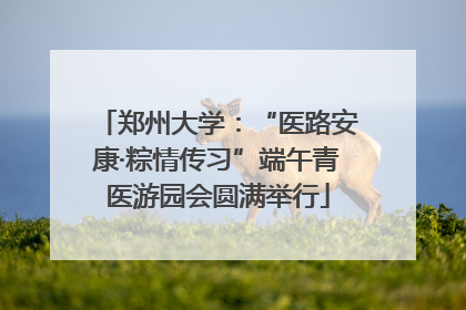 郑州大学：“医路安康·粽情传习”端午青医游园会圆满举行