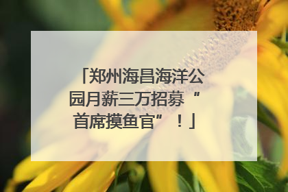 郑州海昌海洋公园月薪三万招募“首席摸鱼官”！