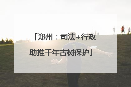 郑州：司法+行政助推千年古树保护