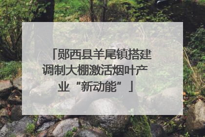 郧西县羊尾镇搭建调制大棚激活烟叶产业“新动能”