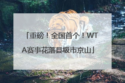 重磅！全国首个！WTA赛事花落县级市京山