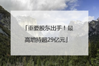 重要股东出手！最高增持超29亿元