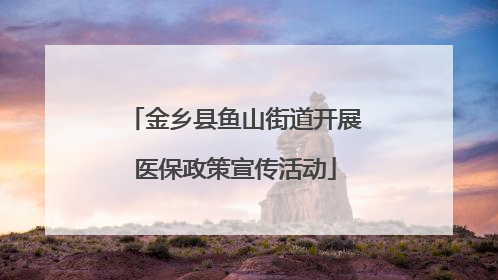 金乡县鱼山街道开展医保政策宣传活动