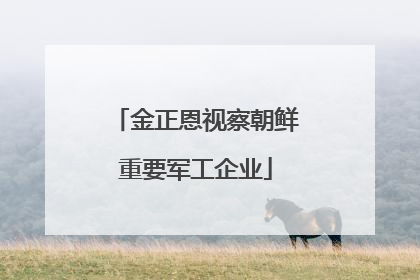 金正恩视察朝鲜重要军工企业