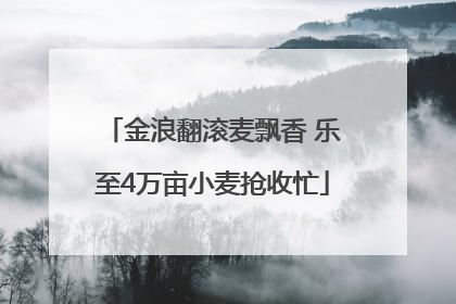 金浪翻滚麦飘香 乐至4万亩小麦抢收忙