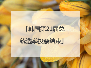 韩国第21届总统选举投票结束