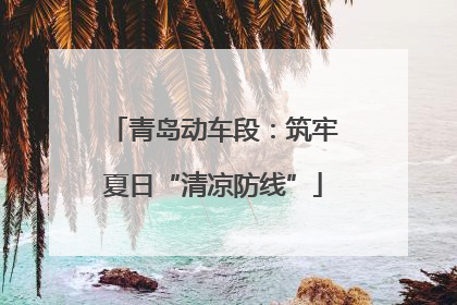 青岛动车段：筑牢夏日“清凉防线”