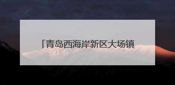 青岛西海岸新区大场镇：综治中心化解民忧，绘就基层治理新“枫”景